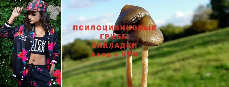 Псилоцибиновые грибы MAGIC MUSHROOMS  Вышний Волочёк 